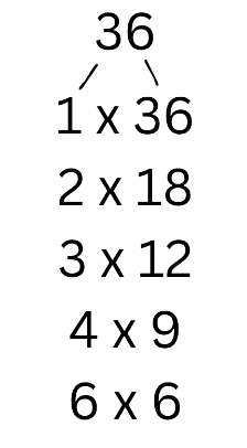 36x93 Math Math Medic Teacher Portal